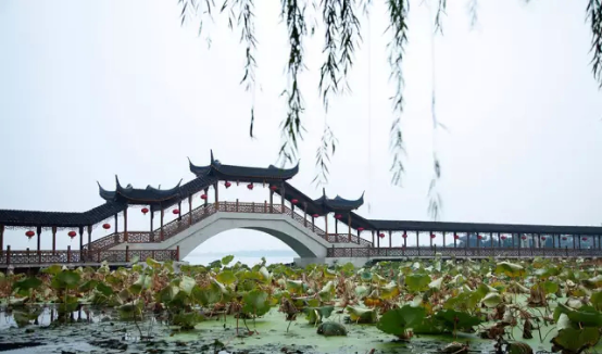 蘇州桃花源 中國頂級物業投資下一個峰值 劍指何方？