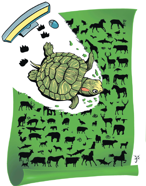 外來物種借道網絡入侵中國生態系統