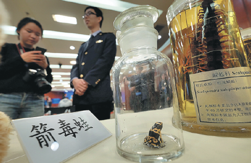 外來物種借道網絡入侵中國生態系統