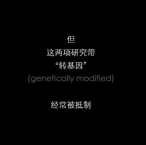 不開玩笑！今天是世！界！蚊！子！日！丨圖圖是道