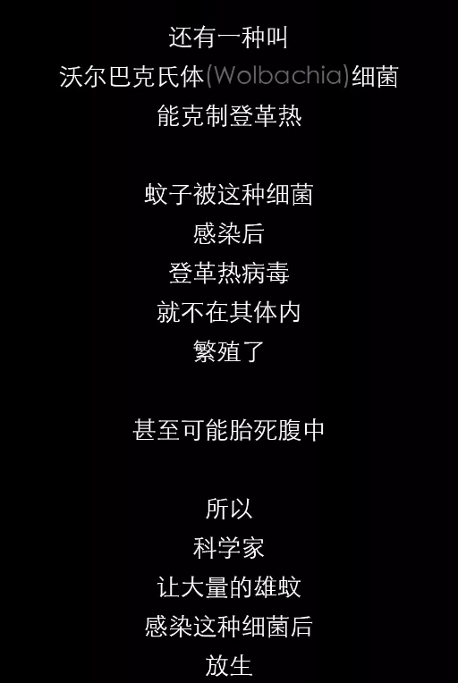 不開玩笑！今天是世！界！蚊！子！日！丨圖圖是道