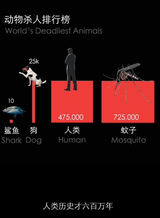 不開玩笑！今天是世！界！蚊！子！日！丨圖圖是道