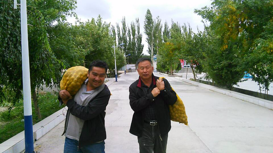 巴州政協工作組精準扶貧讓昔日鹽堿灘蝶變“杏花村”