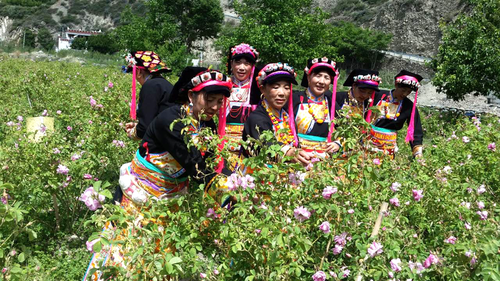 【網絡媒體“走轉改”】四川小金縣：風雨彩虹長征路 鏗鏘玫瑰助扶貧