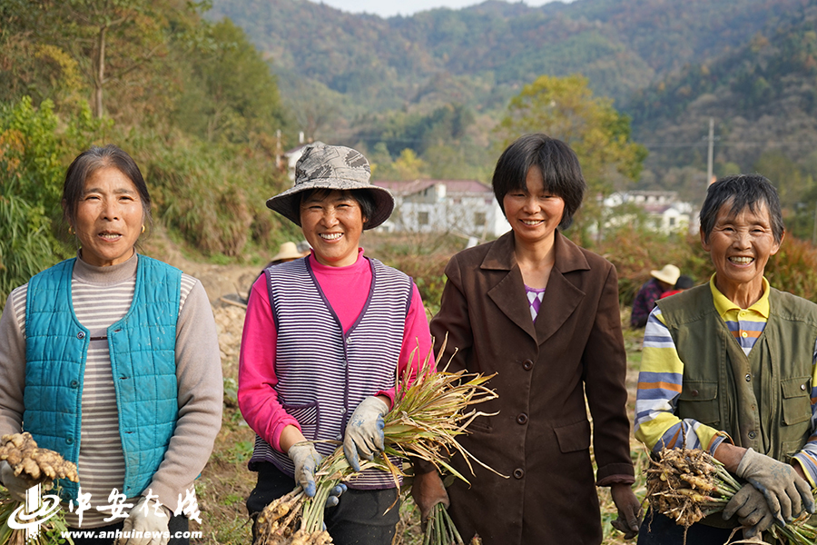 笑一笑 拍個照 俺們不再是貧困戶！——金寨縣迎河村的22張燦爛笑臉