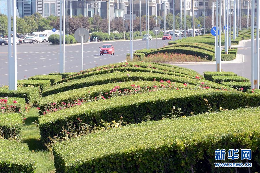 有生命力的國際新城——走訪上合組織峰會召開地鄭東新區