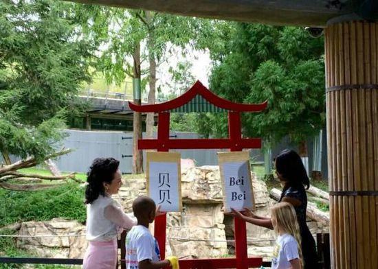 中美第一夫人共看熊貓!當中國牡丹遇到美國玫瑰