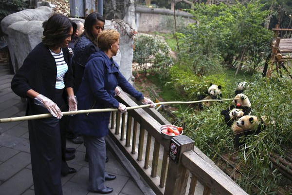 中美第一夫人共看熊貓!當中國牡丹遇到美國玫瑰